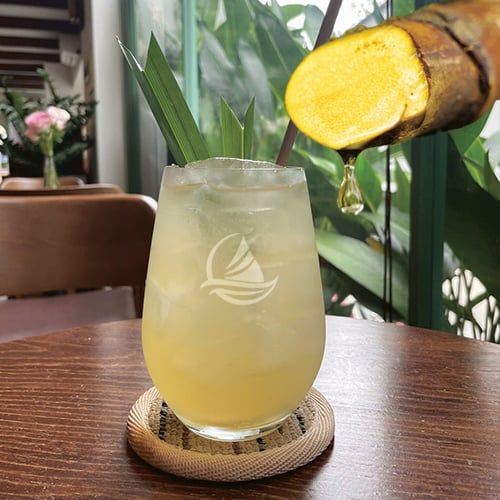 Mật dừa nước tươi Noah Healthy