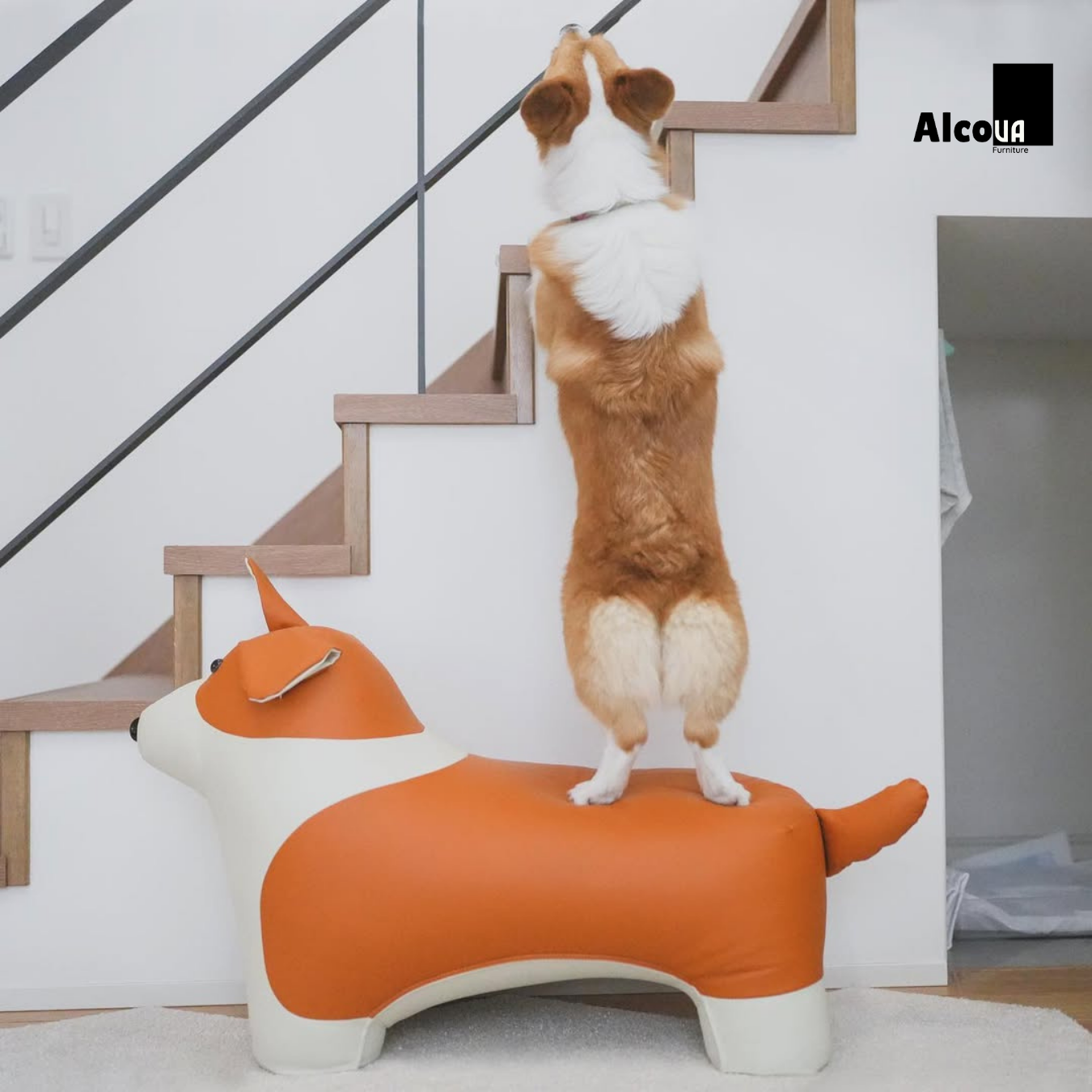 GHẾ HÌNH THÚ CƯNG CORGI