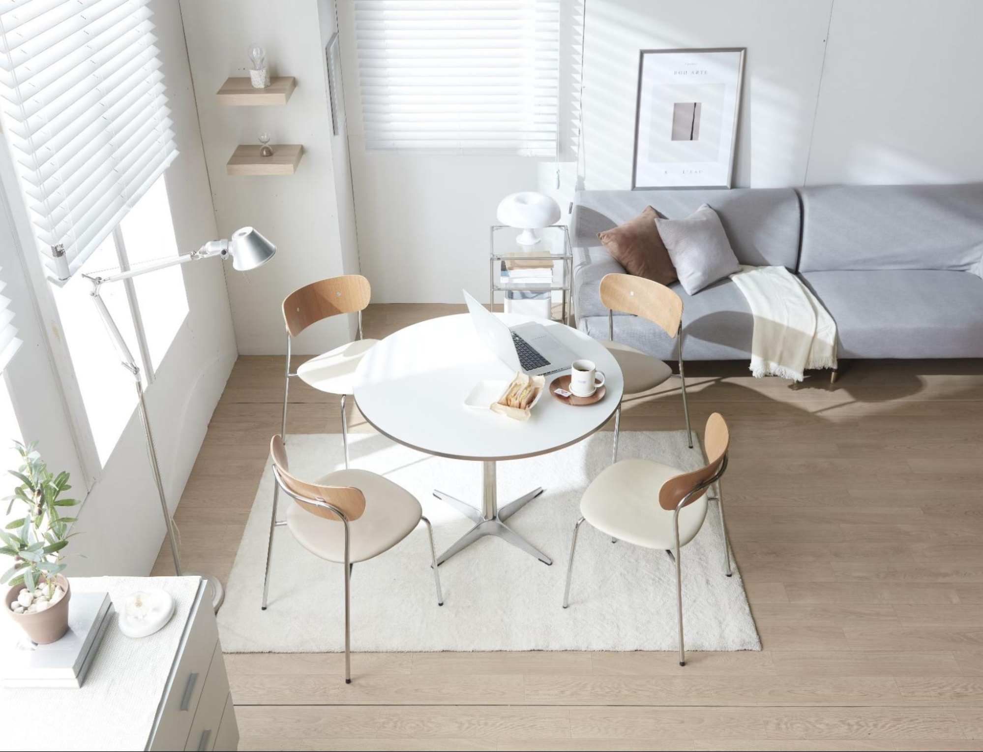 GHẾ RIA NHẬP KHẨU