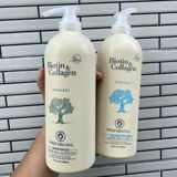 Best Seller Dầu gội xả kích thích mọc tóc Biotin & Collagen PASIORI New 1000mlx2 ( New 2022 )