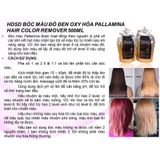 Bóc màu đỏ đen, màu oxy hóa Pallamina Color Remover Hair 500mlx2