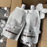 Bóc màu đỏ đen, màu oxy hóa Pallamina Color Remover Hair 500mlx2