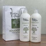 Best Seller Dầu gội xả kích thích mọc tóc Biotin & Collagen PASIORI New 1000mlx2 ( New 2022 )