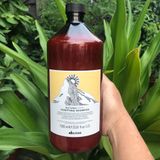 Combo dầu gội và gel hạn chế gàu ngứa da đầu Davines Purifying 1000ml/150ml - new