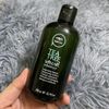 Cặp dầu gội xả trà xanh bạc hà kháng khuẩn và ngăn ngừa Gàu Tea Tree Special Paul Mitchell 300mlx2 [ New ]