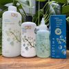 Combo chống rụng tóc Teotema Hairloss Specific Bath 500ml/125ml [ New ]