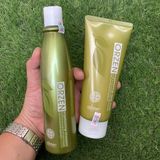 Combo Gội và Mặt nạ chống rụng tóc ORZEN Orgahealing Obsidian ( New )