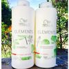 Cặp gội xả phục hồi và tái tạo tóc Wella Elements Renewing 1000mlx2 ( New 2023 )