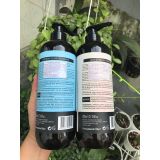 Dầu gội xả dưỡng ẩm phục hồi tóc Delofil Pure Repair 800mlx2 [ New ]