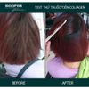 Combo 3 lọ siêu phục hồi tóc Hair Repair Protein Sophia Platinum 13mlx3 [ New ]