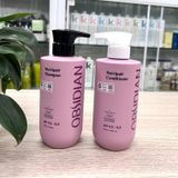 DẦU GỘI XẢ SIÊU MƯỢT TÓC (Obsidian Professional Nutripair) PINK 500mlx2 [ New ]