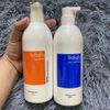 Dầu gội xả hoàn hình phục hồi tóc Sasaba 500mlx2 [ New ]