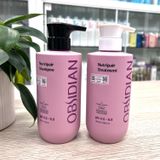 Hấp siêu mượt Obsidian Professional Nutripair Treatment 500ml [ New ]