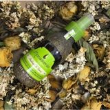 Xịt dưỡng bảo vệ tóc hư tổn Macadamia Healing Oil Spray 125ml [ New 2024 }