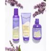 Kem xả dạng bọt KHỬ VÀNG BLONDESSE No Yellow MOUSSE Inebrya 250ml ( New 2023 )
