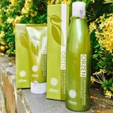 Combo Gội và Mặt nạ chống rụng tóc ORZEN Orgahealing Obsidian ( New )