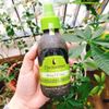 Xịt dưỡng bảo vệ tóc hư tổn Macadamia Healing Oil Spray 125ml [ New 2024 }
