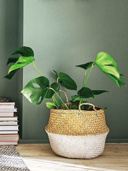 Giỏ mây nhiều màu D35