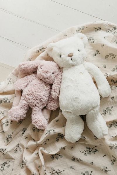  Gấu Jamie Kay Mini 