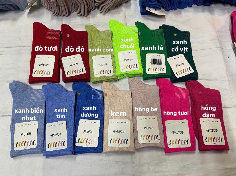 Vớ Routine