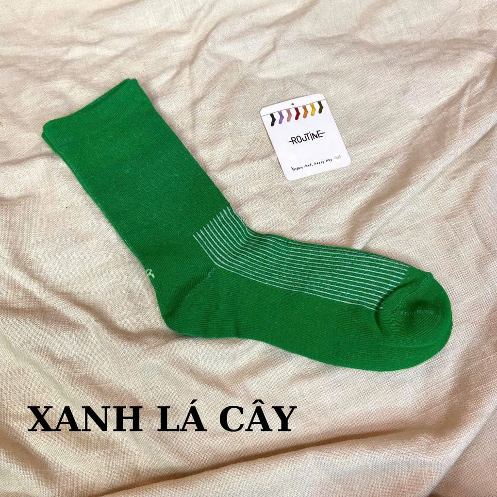 Vớ Routine