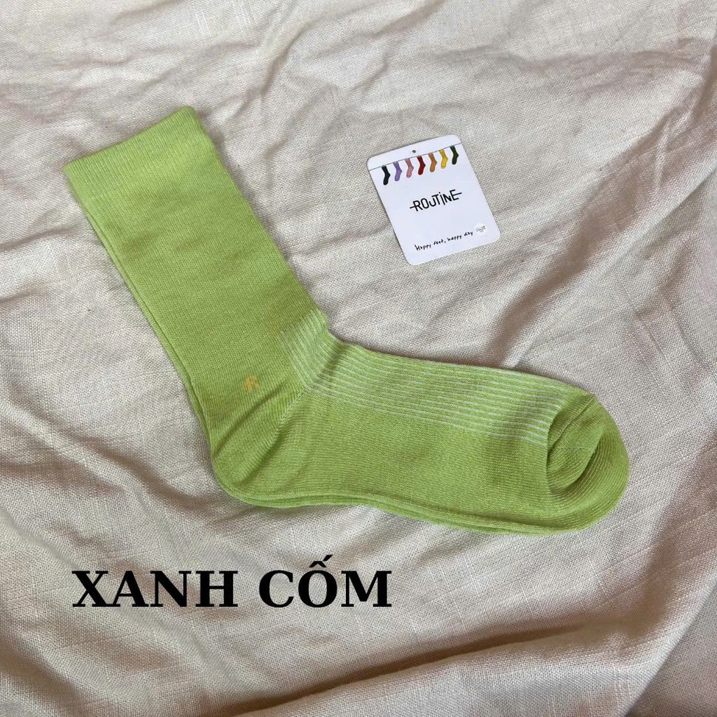 Vớ Routine