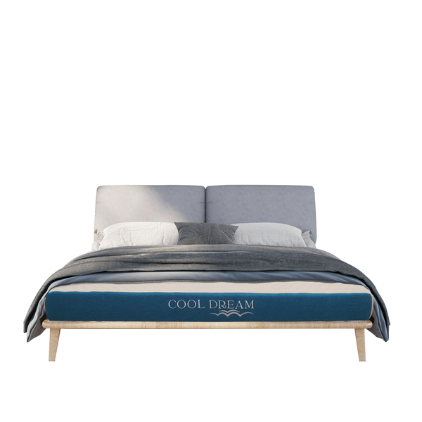  NỆM FOAM CAO CẤP COOLDREAM 