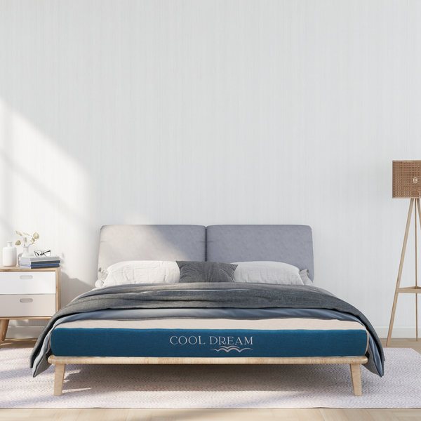  NỆM FOAM CAO CẤP COOLDREAM 