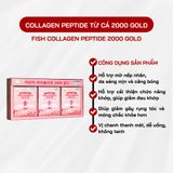  Collagen Peptide 2000 Gold 