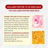  Collagen Peptide 2000 Gold 