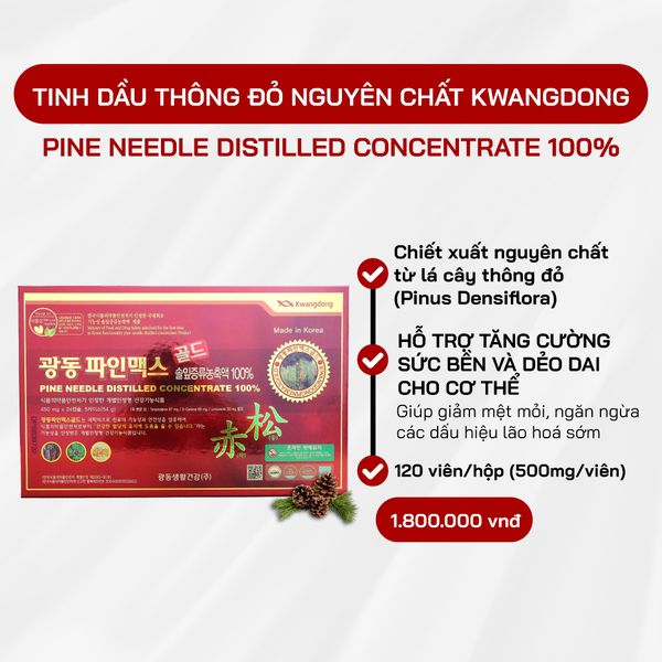  Tinh Dầu Thông Đỏ Kwangdong 