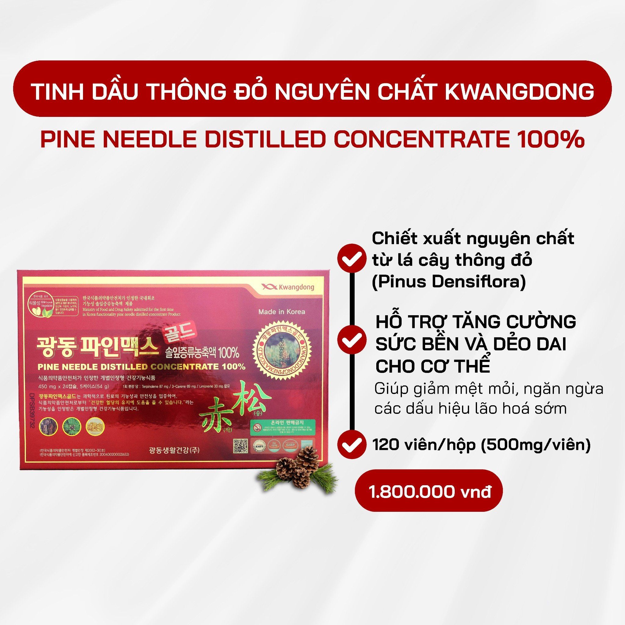  Tinh Dầu Thông Đỏ Kwangdong 