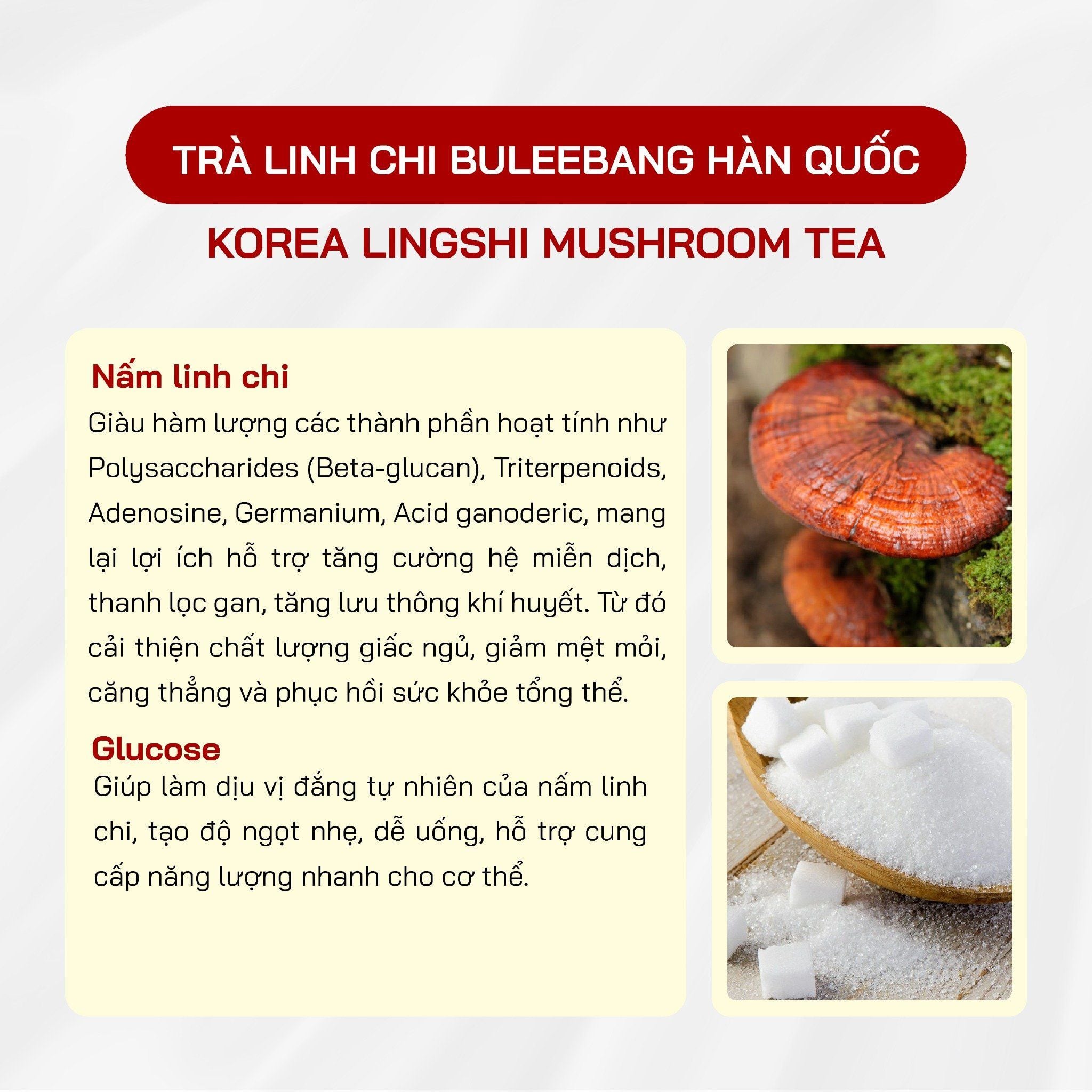  Trà Linh Chi Buleebang 