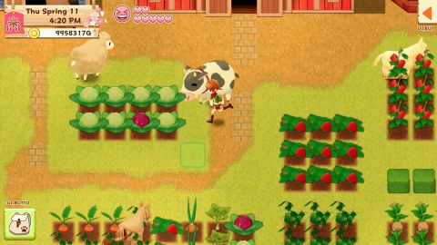  Harvest Moon: Light of Hope Nintendo Switch 