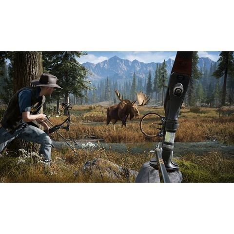  Far Cry 5 Ps4 