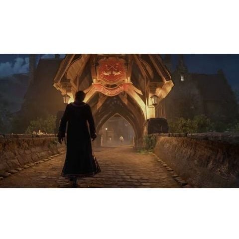  Hogwarts Legacy Nintendo Switch 
