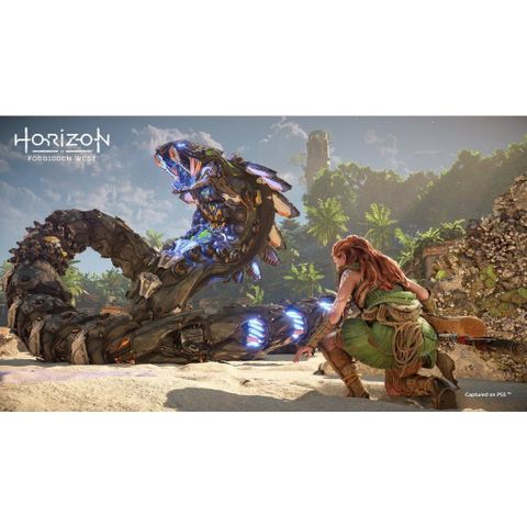  Horizon Forbidden West Ps5 