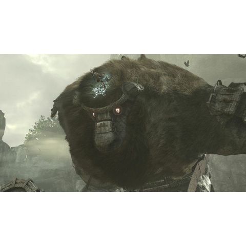  Shadow Of Colossus Ps4 