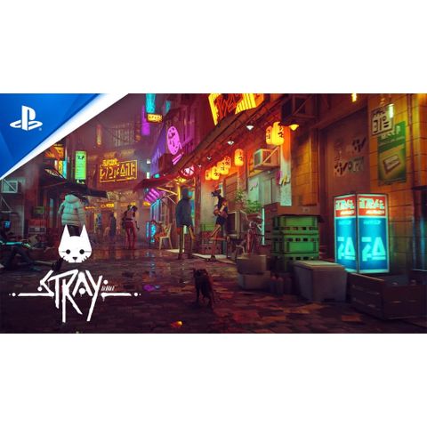  Stray Ps5 
