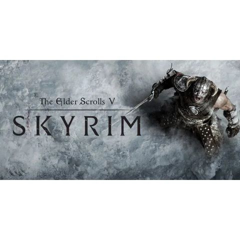  The Elder Scrolls V: Skyrim Nintendo Switch 