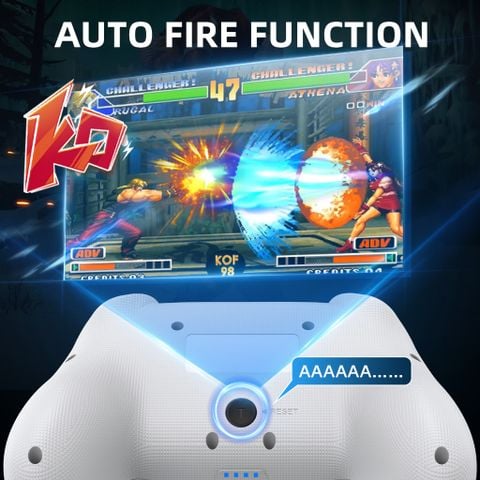  Tay Cầm Chơi Game Bluetooth Không Dây Samurai Cho Nintendo Switch IINE L617 Đen và IINE L856 trắng 