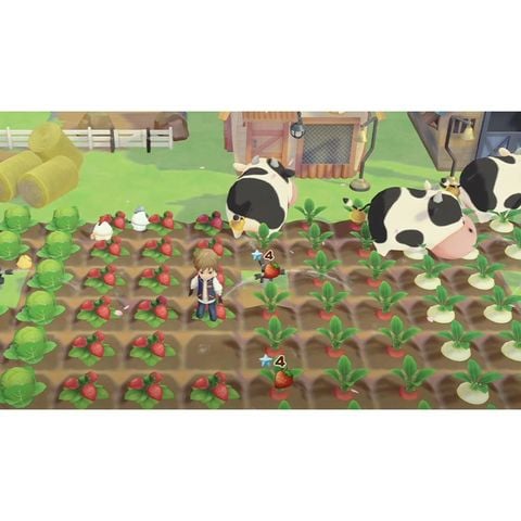  Story Of Seasons Pioneers Of Olive Town Nintendo Switch 