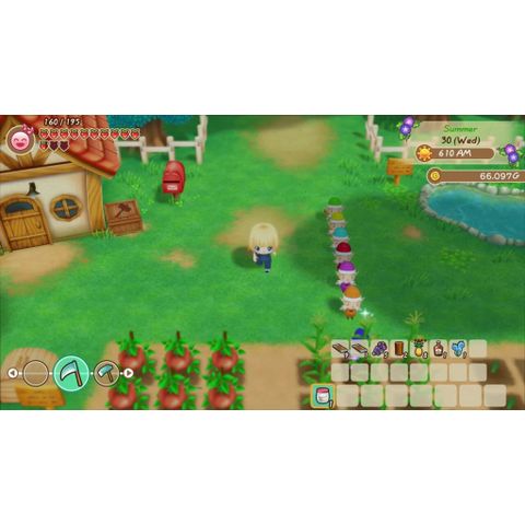  Story Of Seasons Friends Of Mineral Town Nintendo Switch 