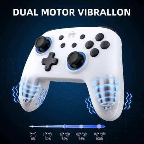  Tay Cầm Chơi Game Bluetooth Không Dây Samurai Cho Nintendo Switch IINE L617 Đen và IINE L856 trắng 