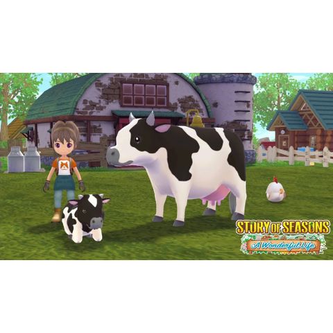  Story Of Seasons A Wonderful Life Nintendo Switch 