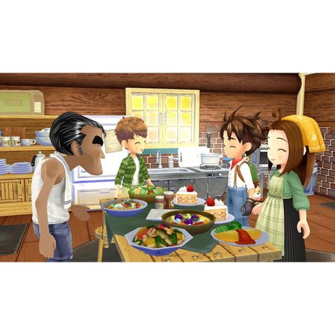  Story Of Seasons A Wonderful Life Nintendo Switch 
