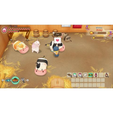  Story Of Seasons Friends Of Mineral Town Nintendo Switch 