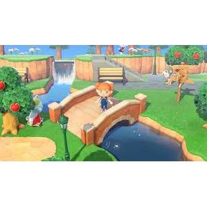  Animal Crossing  Nintendo Switch 