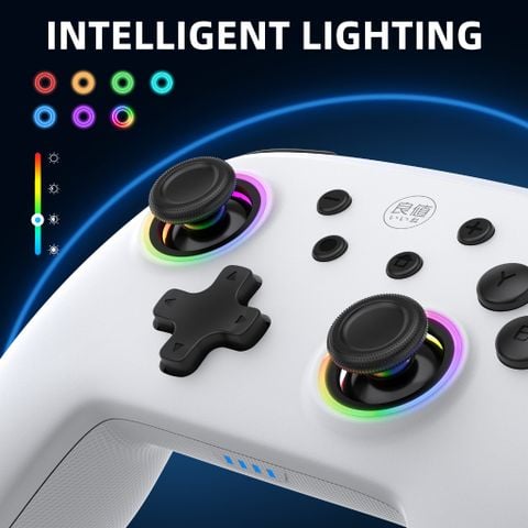  Tay Cầm Chơi Game Bluetooth Không Dây Samurai Cho Nintendo Switch IINE L617 Đen và IINE L856 trắng 