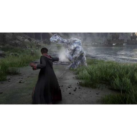  Hogwarts Legacy Ps4 